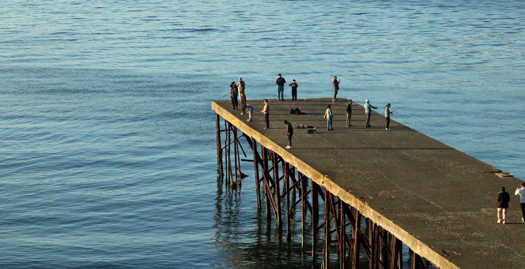 muelle