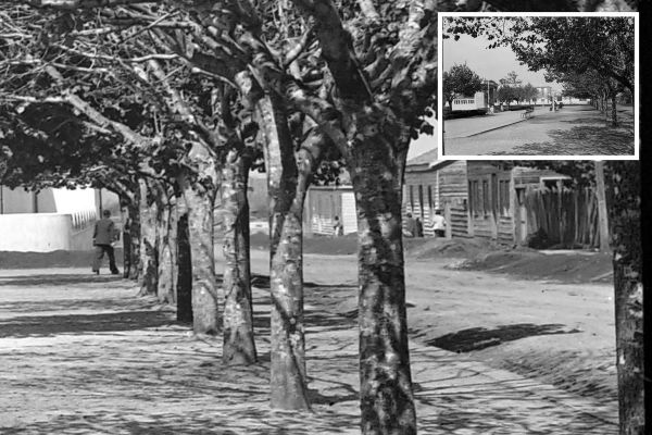 antiguo-56afac02cd-8424-671b-bc84-11b0d1b3f985F9C6F642-3988-33BE-0717-D274B67570F0.jpg