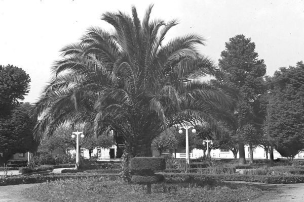 antiguo-5957708b45-c793-9a65-cf41-3198cbd2c77811450AE1-6E10-682E-D4B8-81111F09A77A.jpg