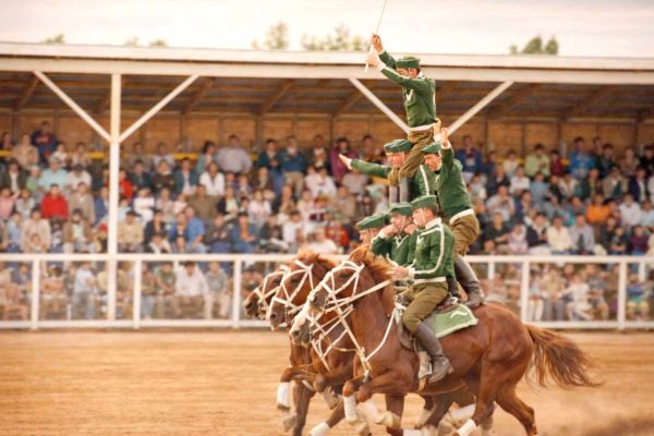 cverde1A670C2AA-5E29-0800-B41C-16AC085DFB0F.jpg