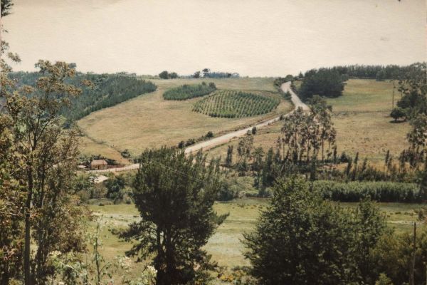 tucapelF870EDA4-F6E8-24B4-90C3-E119E5EC02B5.jpg