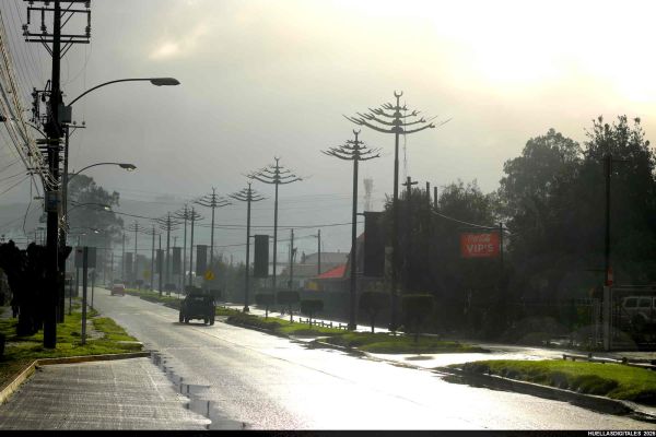 avenida1C2E21658-5FB8-C952-C048-EA8B4A67A511.jpg