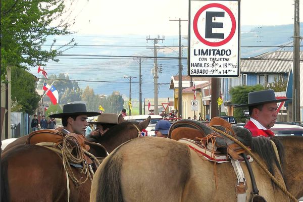 caballos285125202-D647-A18A-A7F8-A2059CF74757.jpg