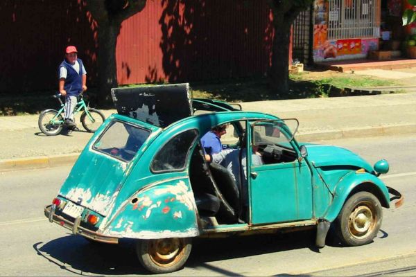 citrola396a92e7-826a-b47f-e71e-f0a9af4b083e9470A689-2E76-7096-AC68-3623D0C138E5.jpg