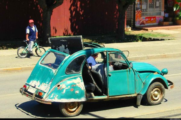 citrola396a92e7-826a-b47f-e71e-f0a9af4b083eC0E5D5B8-75CB-0D57-F7DF-428B08332B8D.jpg