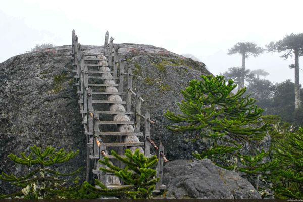 escalera1b5B30B221-88C8-8EE5-A1EC-C61C388A2C04.jpg