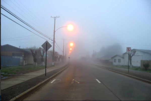 niebla2519E6BE2-34F0-5823-D569-F97334FC7F20.jpg